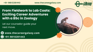 Exciting Career Adventures with a BSc in Zoology