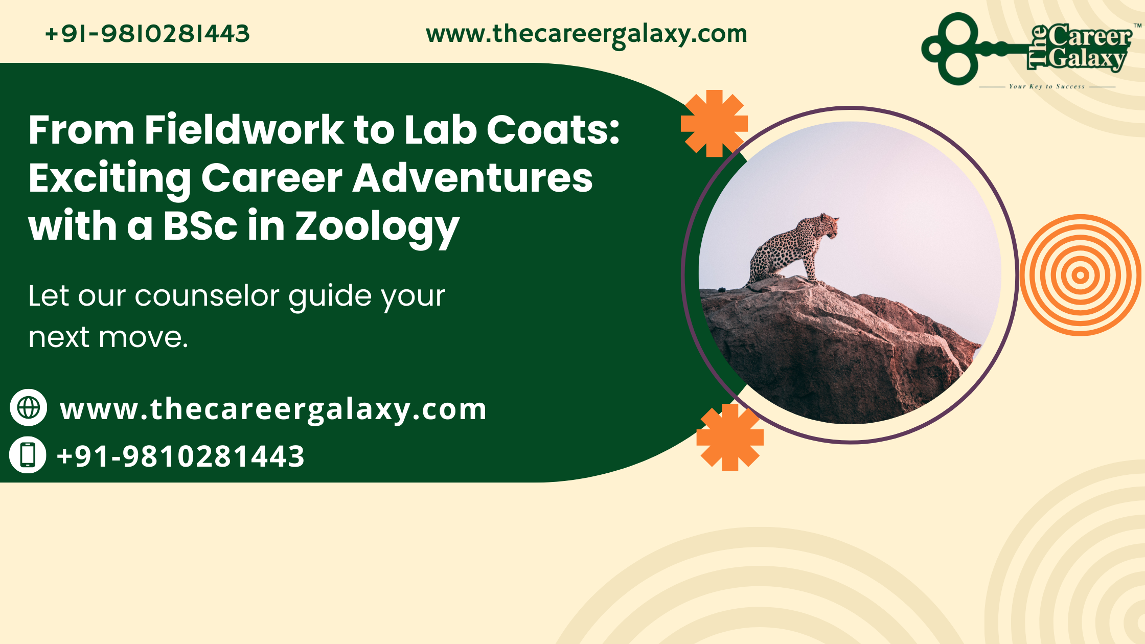 Exciting Career Adventures with a BSc in Zoology