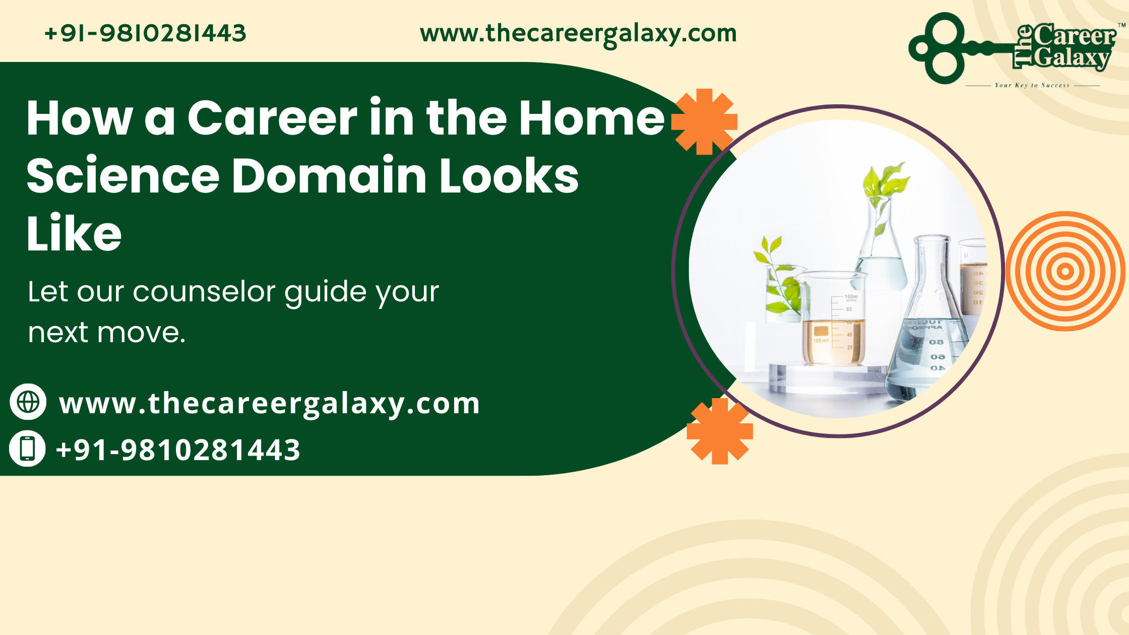 How a Career in the Home Science Domain Looks Like