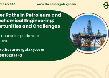 Petroleum and Petrochemical Engineering