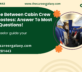Difference Between Cabin Crew and Air Hostess