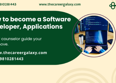 Software Developer