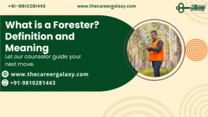 What is a Forester? Definition and Meaning