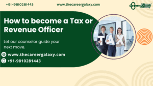 Tax or Revenue Officer