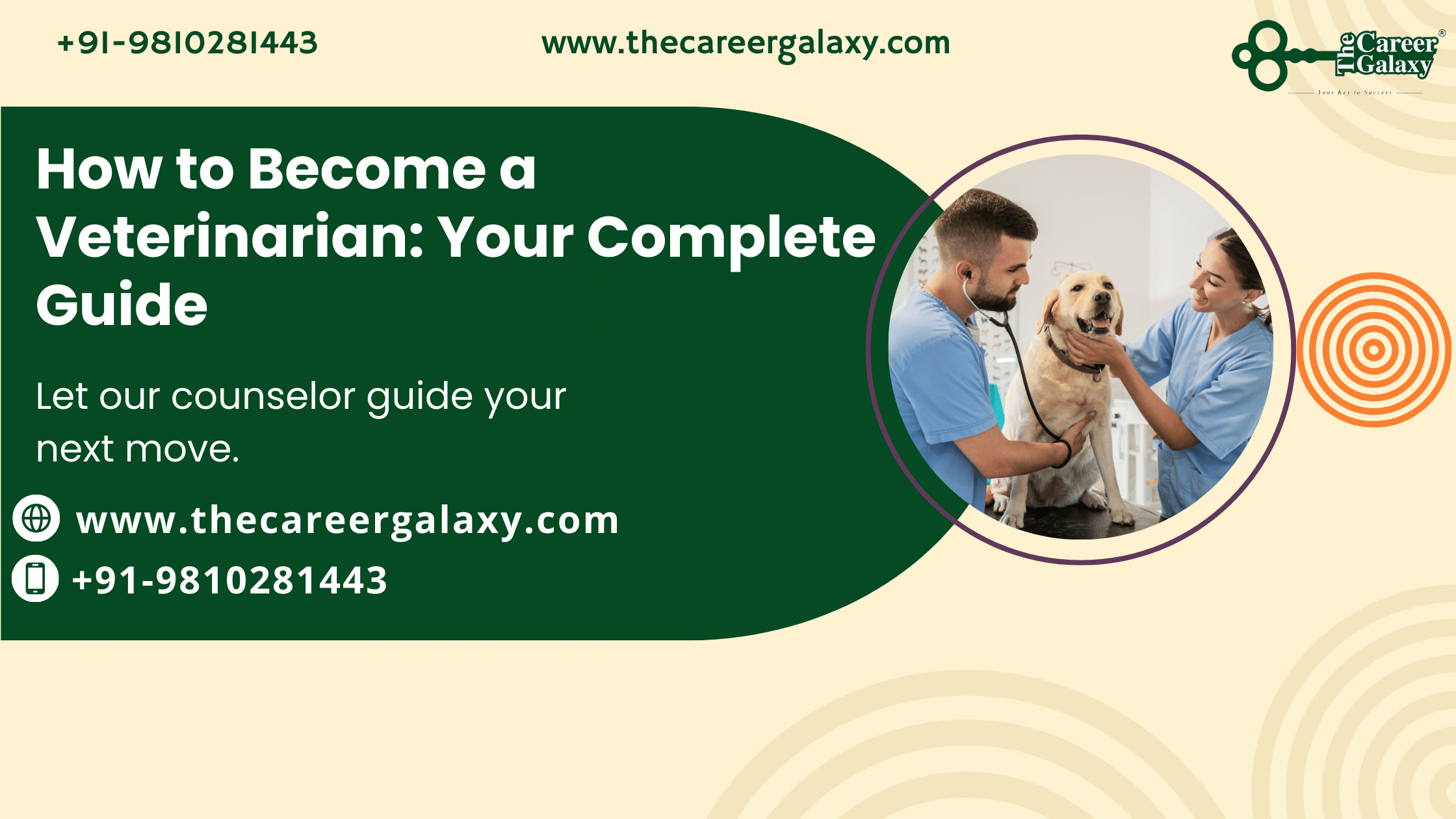 How to Become a Veterinarian
