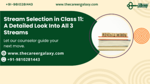 Stream Selection in Class 11: A Detailed Look Into All 3 Streams