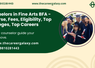 Bachelors in Fine Arts BFA