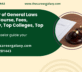 Bachelor of General Laws (BGL) – Course, Fees, Eligibility, Top Colleges, Top Careers