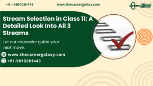 Stream Selection in Class 11: A Detailed Look Into All 3 Streams